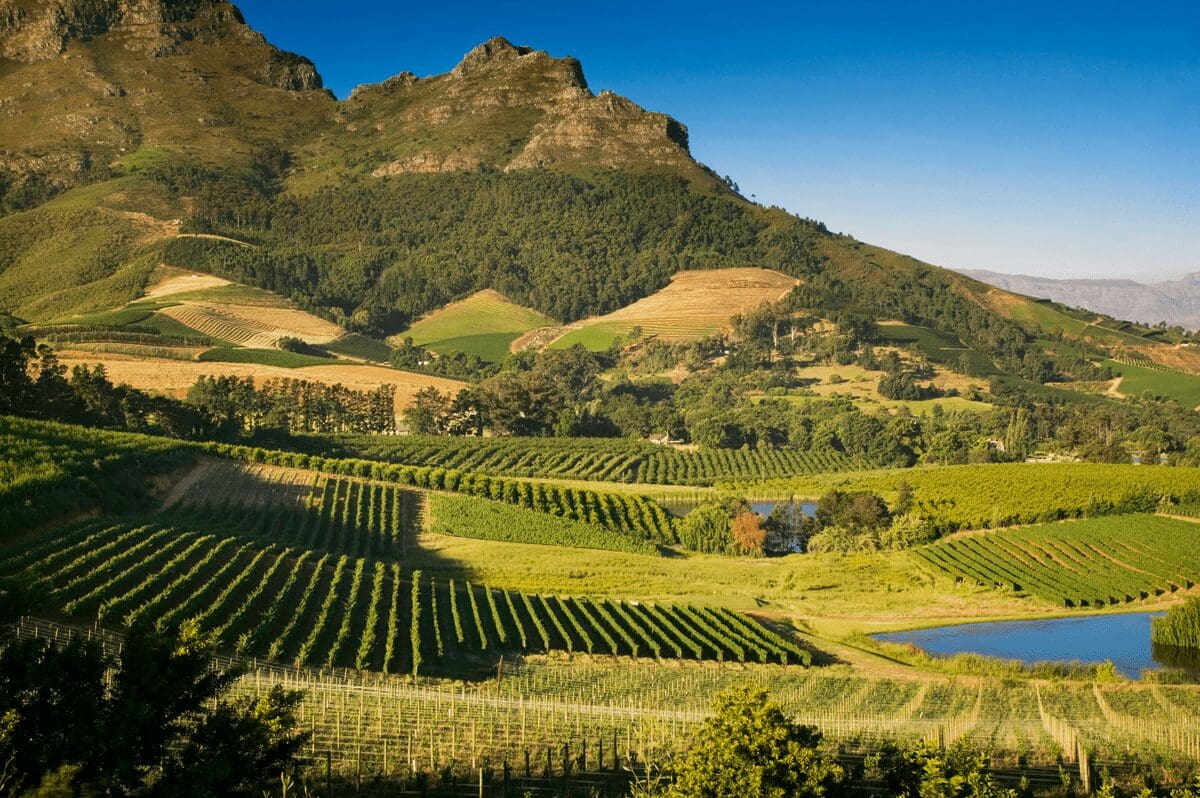 Cape Town Wine Tour